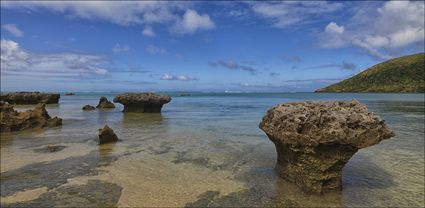 Lord Howe Island - NSW T (PBH4 00 11719)